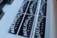 411661741_372892458590088_7545163713091221229_n